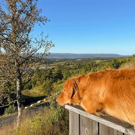Nice In With House A Mountain View *